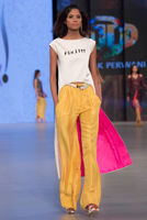 Picture of Brittle star