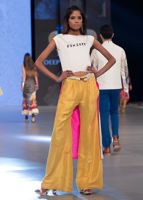 Picture of Brittle star