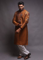 Picture of Brown embroidered kurta