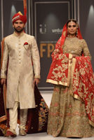 Picture of Golden glare (BRD142)