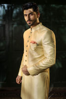 Picture of Light gold sherwani