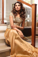 Picture of Sungold (DRS1058)