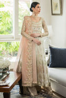 Picture of Aslan (KTD3255)