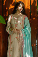 Picture of Nova (Ktd4024)