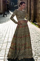 Picture of Golden glare (BRD142)